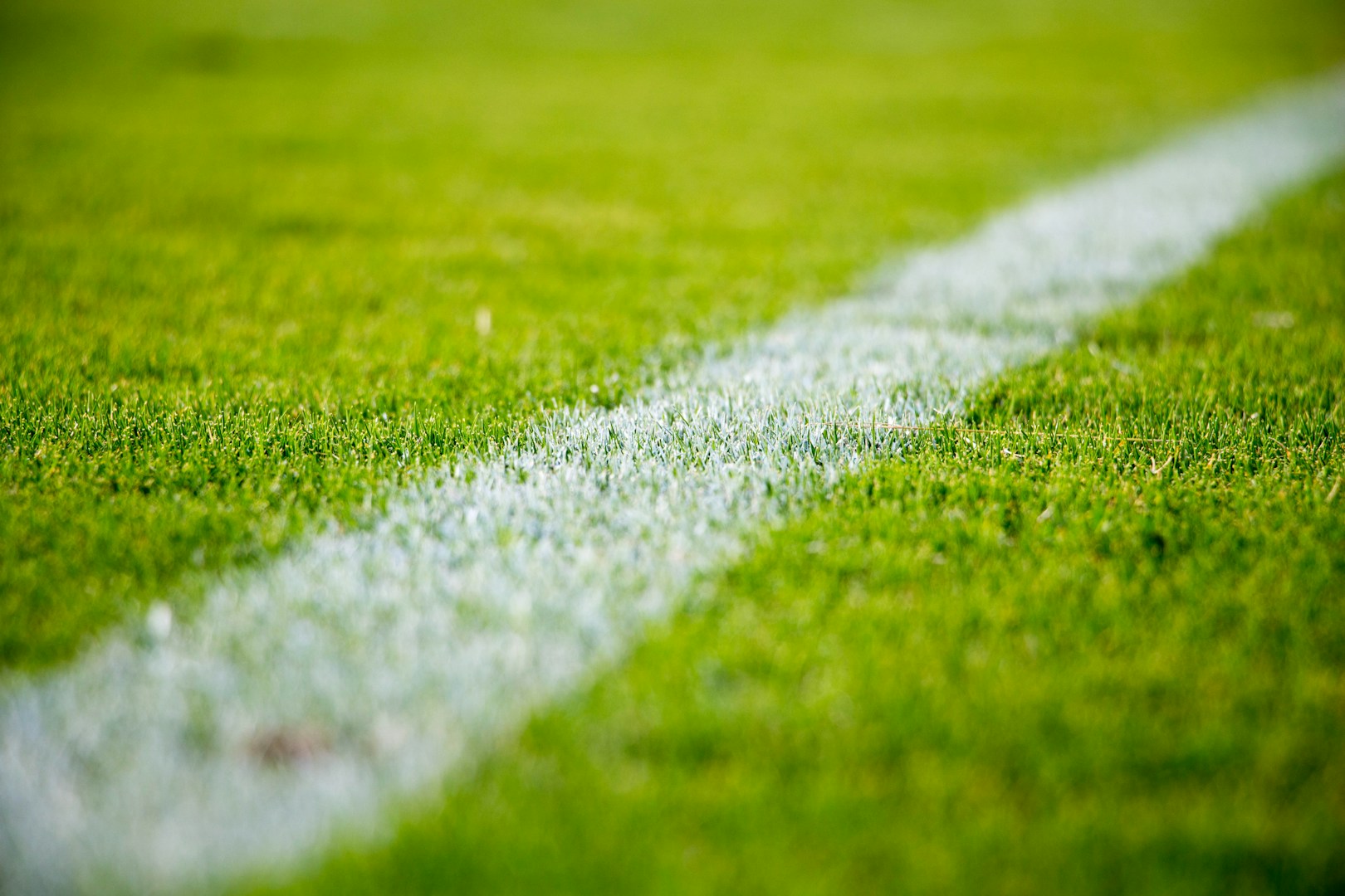 2026FIFA世界杯官方球场全景，绿茵草地与璀璨灯光交织，球迷看台座无虚席，充满竞技热血氛围